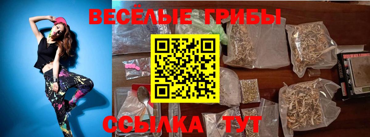 Псилоцибиновые грибы мухоморы  Вход с VPN  Нерюнгри 